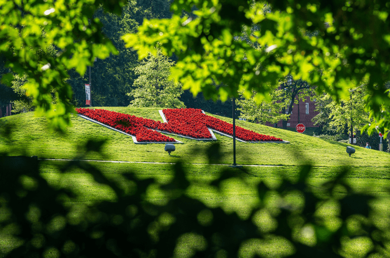 m circle garden